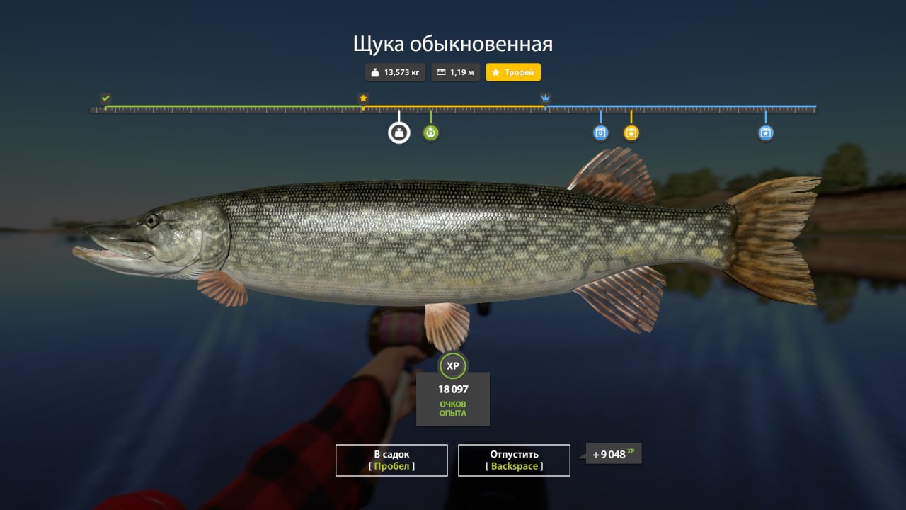 Trophy — Akhtuba River