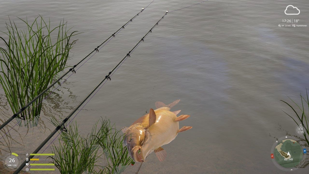 Трофей — Озеро Янтарное