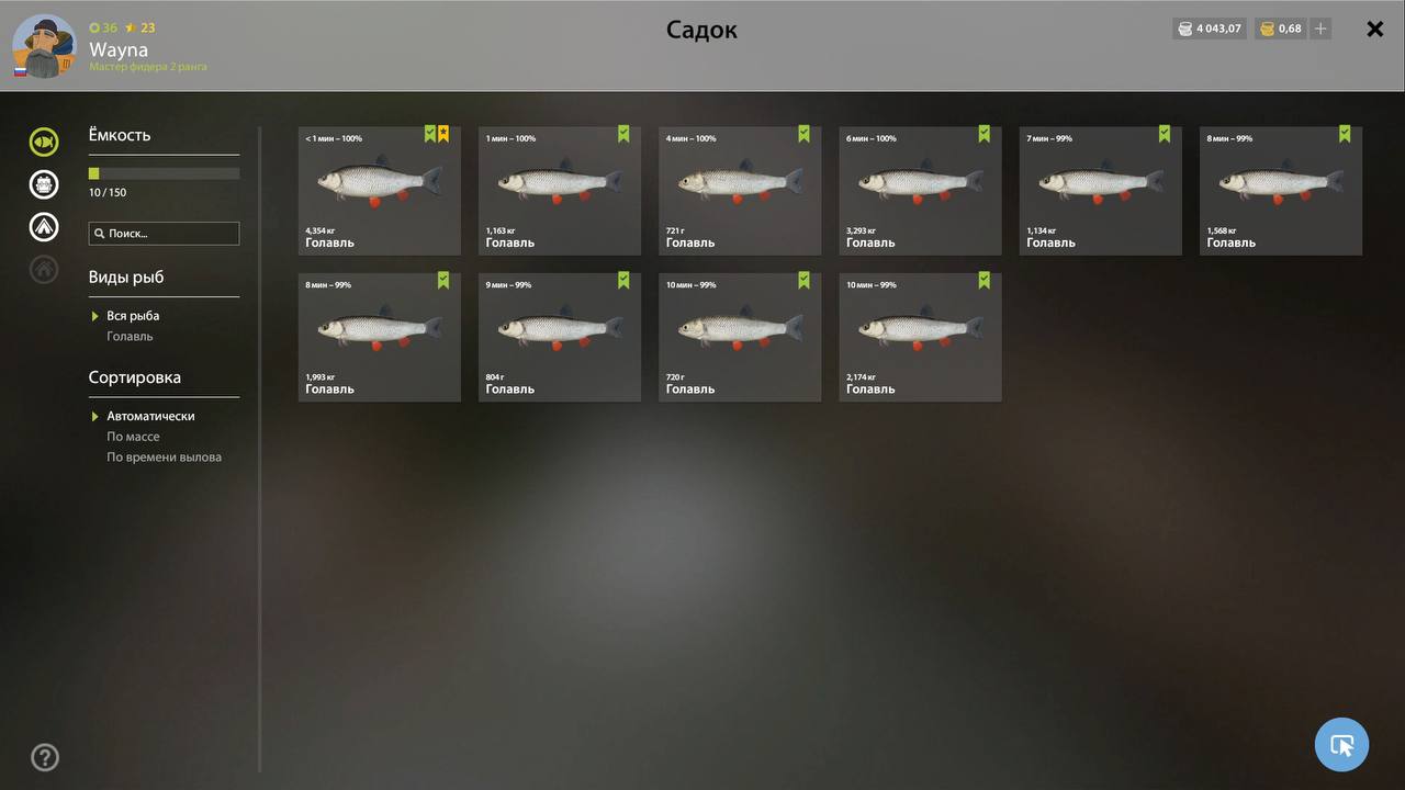 Садок — Река Вьюнок