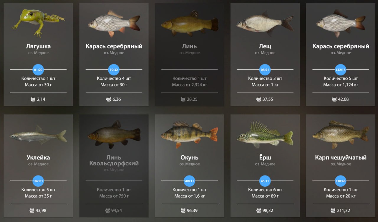 Miscellaneous — Copper Lake