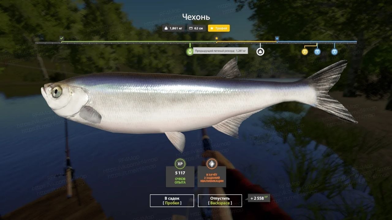 Seversky Donets River — Trophy