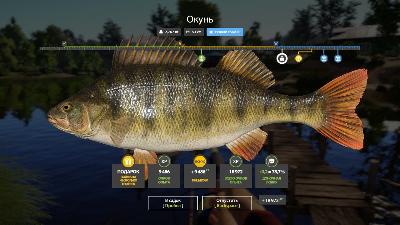 Trophy — Mosquito Lake