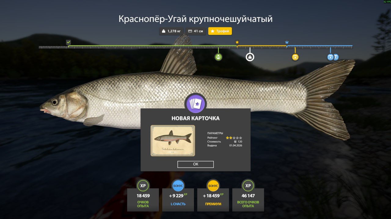 Trophy — Yama River