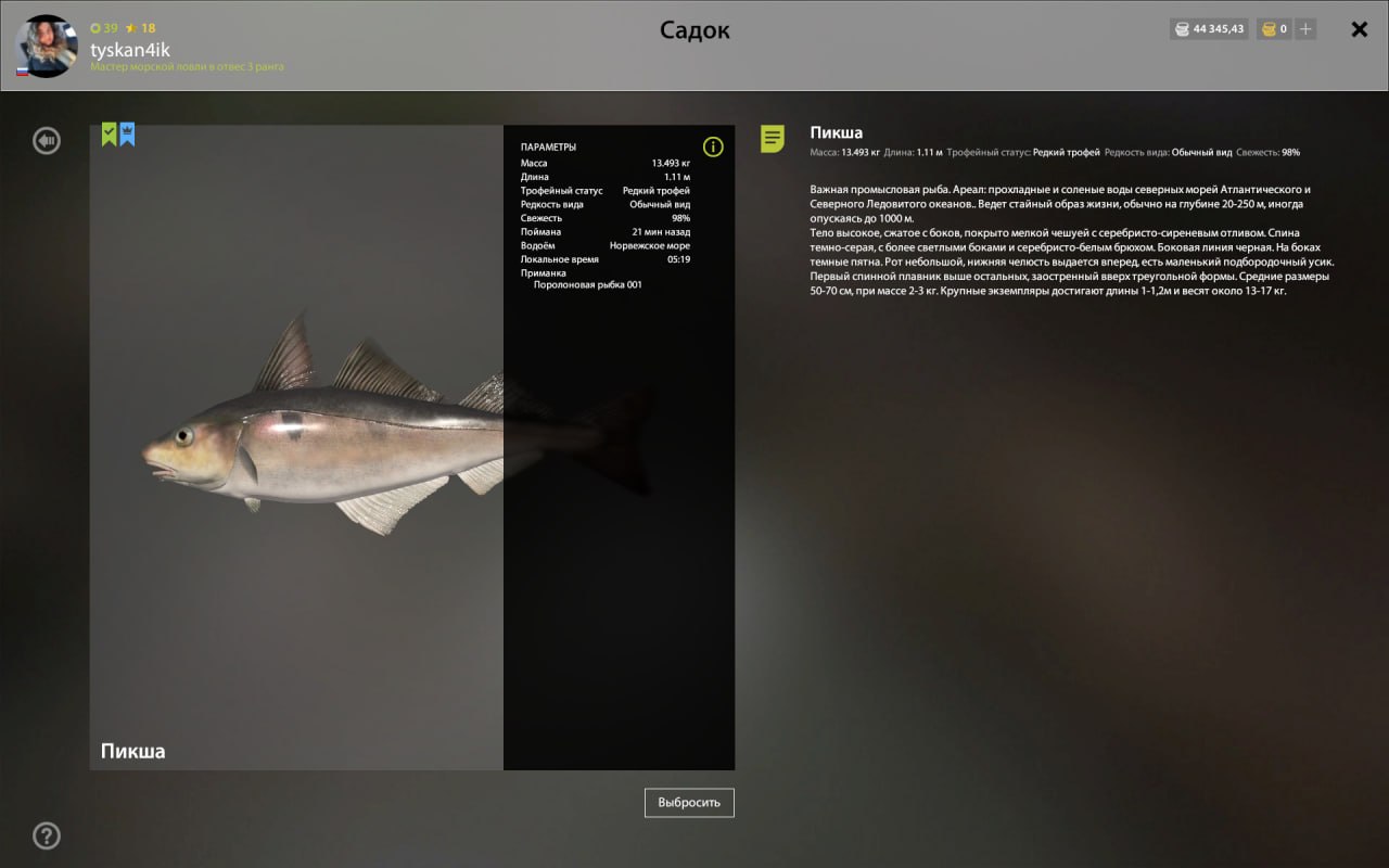 Norwegian Sea — Trophy