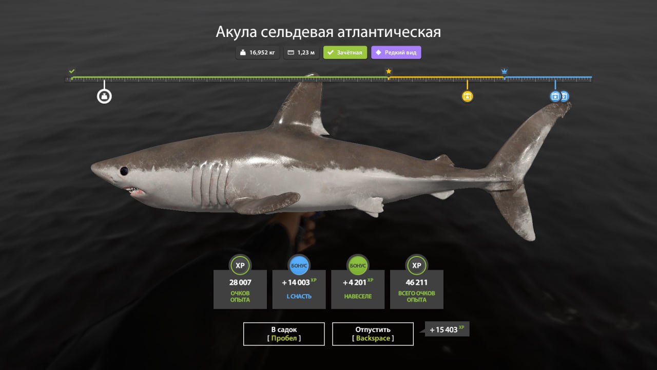 Norwegian Sea — Miscellaneous