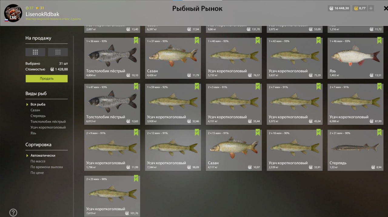 Садок — Река Ахтуба