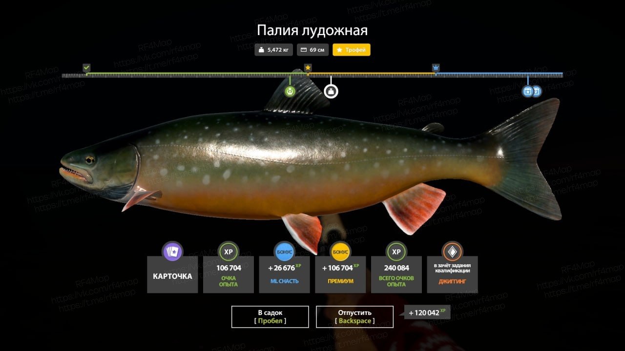 Ладожский архипелаг — Трофей