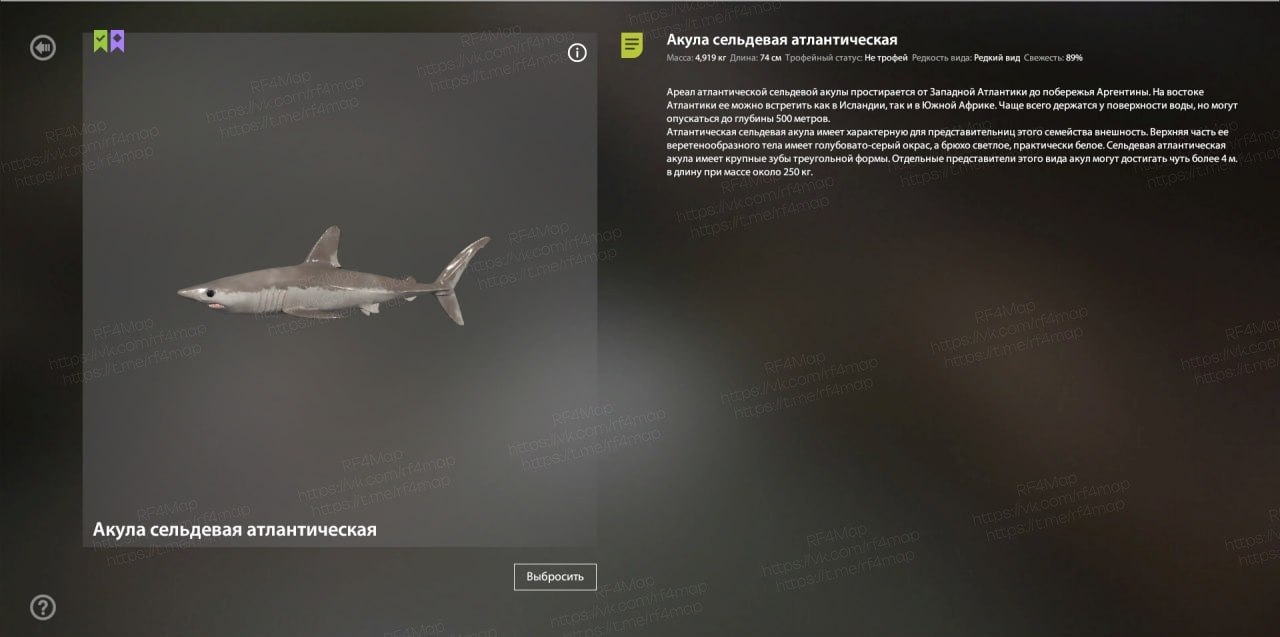 Норвежское море — Трофей