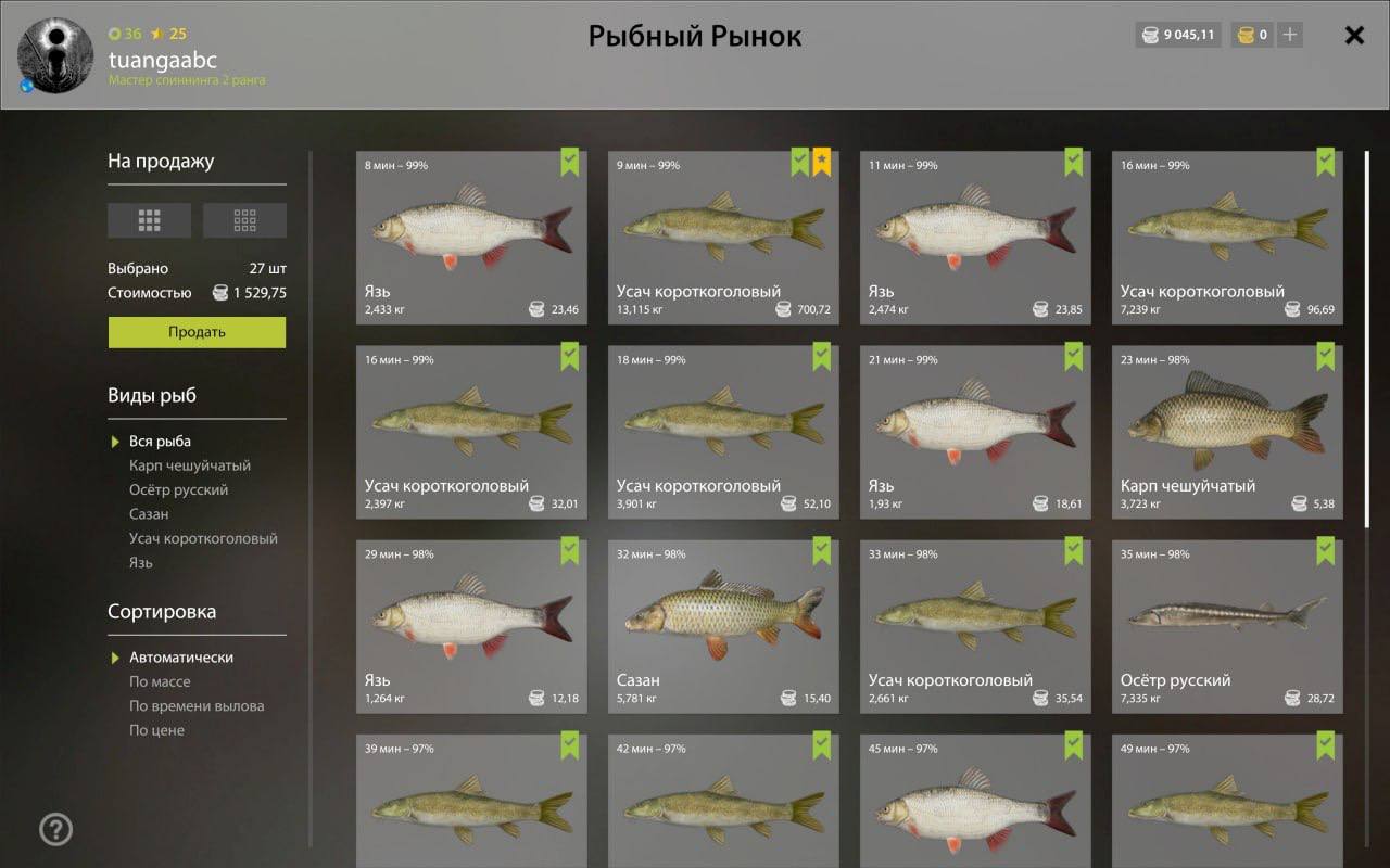 Река Ахтуба — Садок