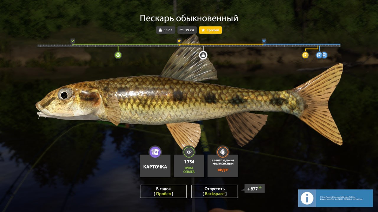 Река Вьюнок — Трофей
