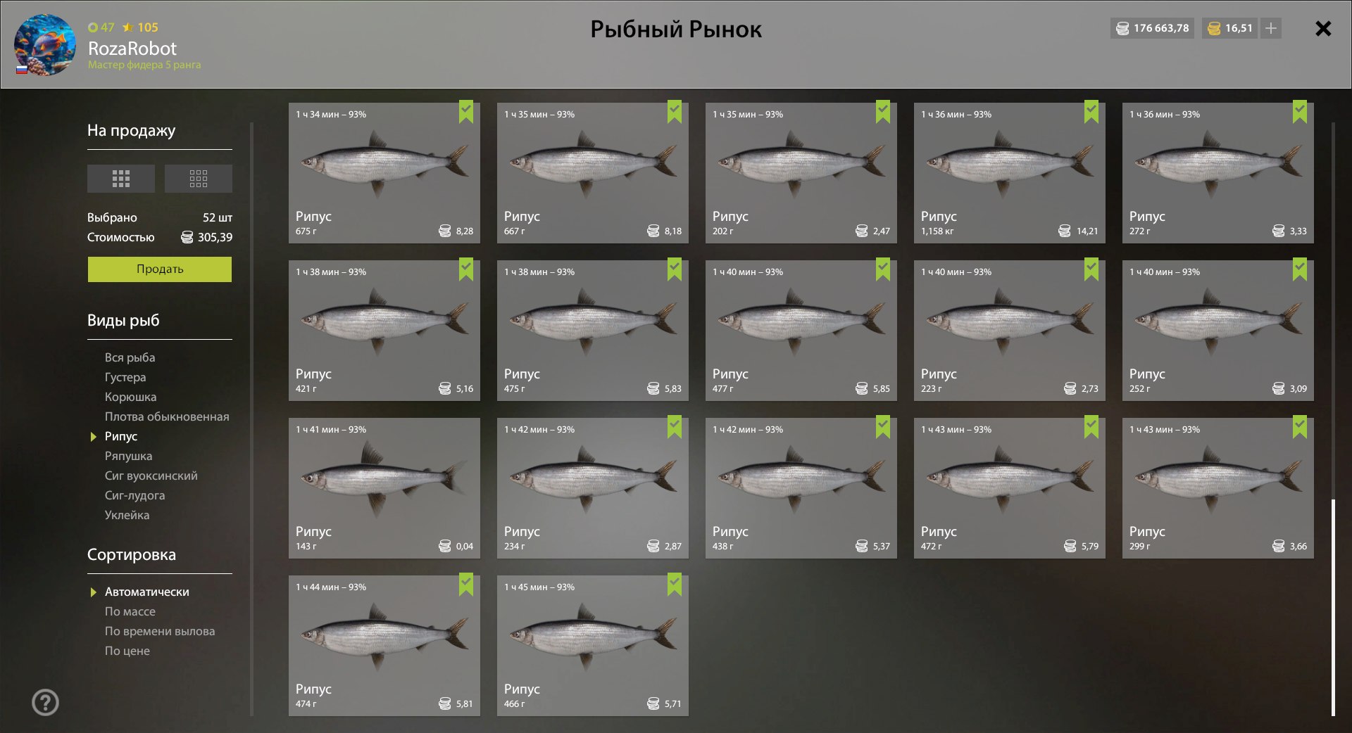 Садок — Ладожское озеро