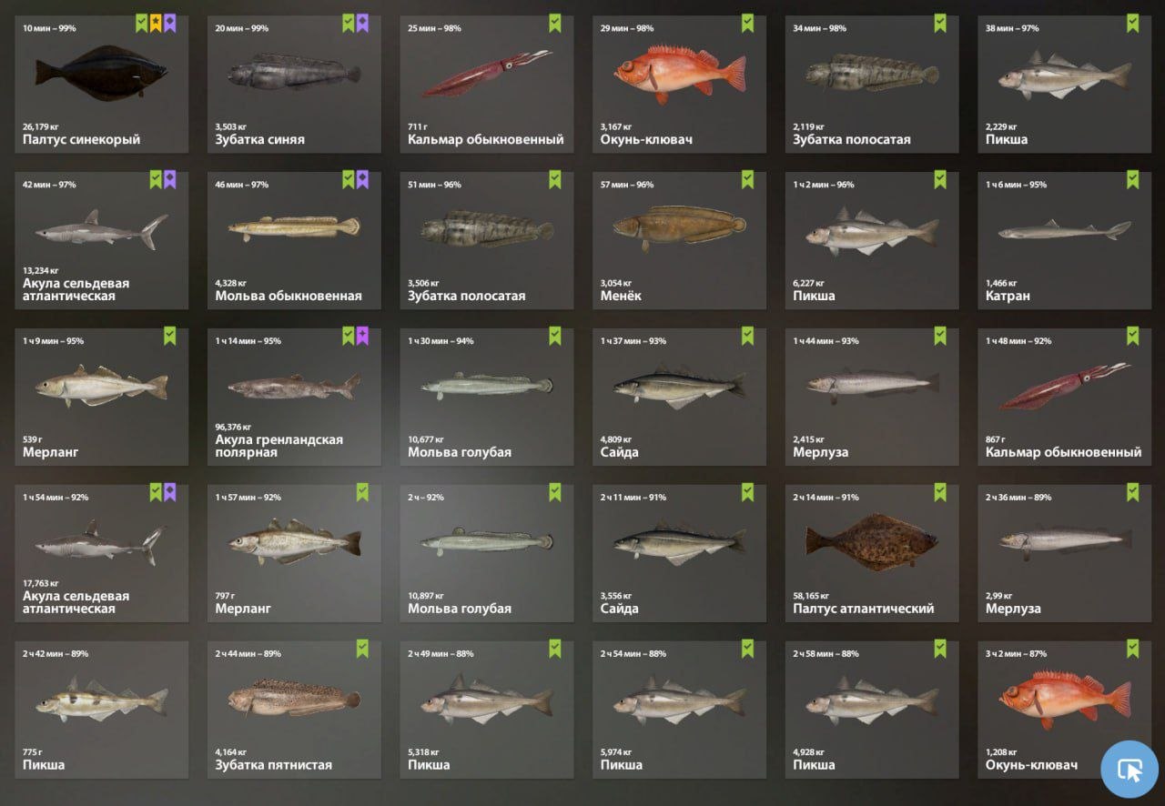 Keepnet — Norwegian Sea