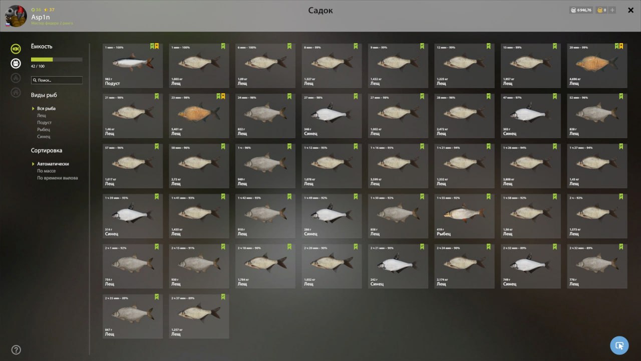 Река Волхов — Садок