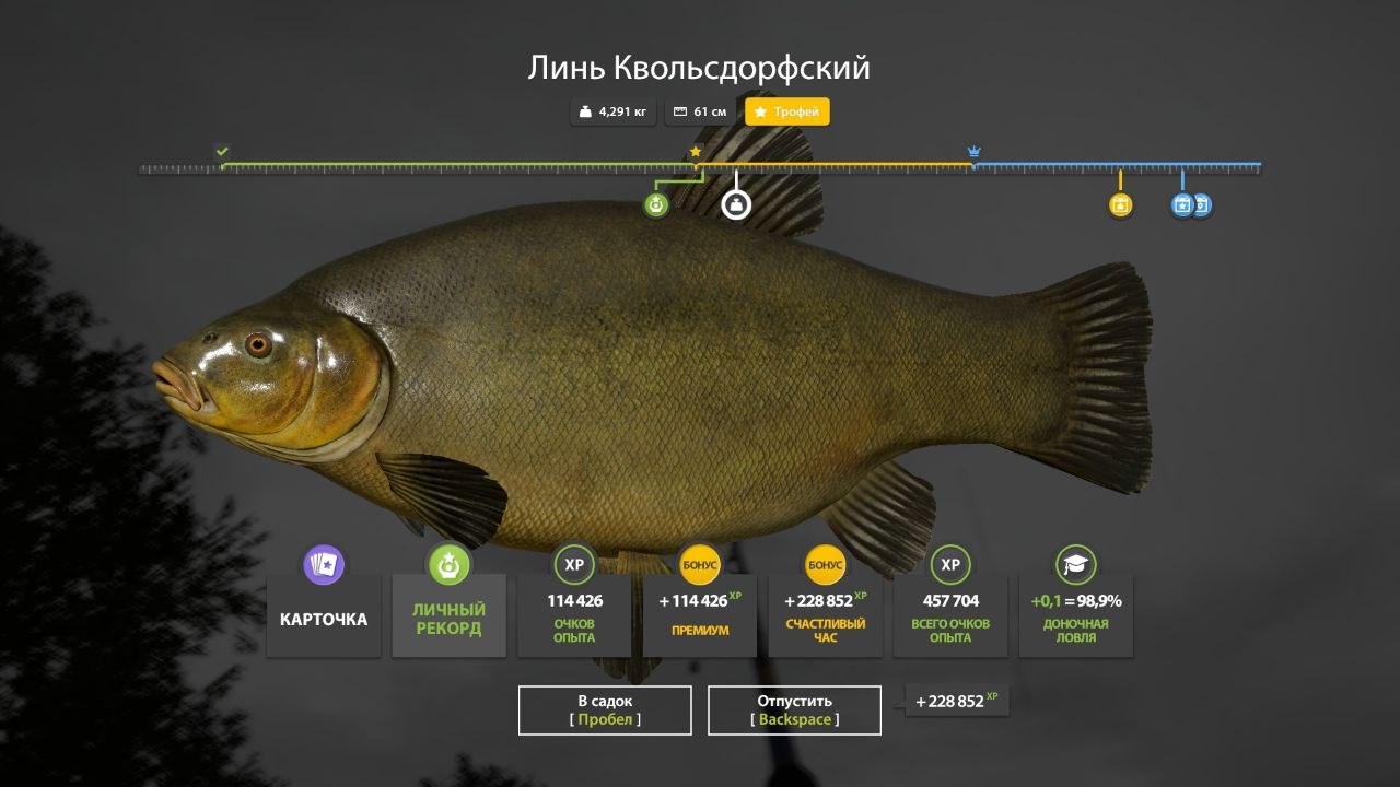 Трофей — Озеро Медное