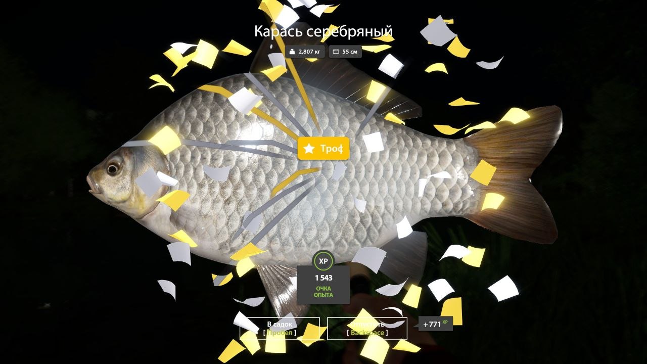 Trophy — Copper Lake