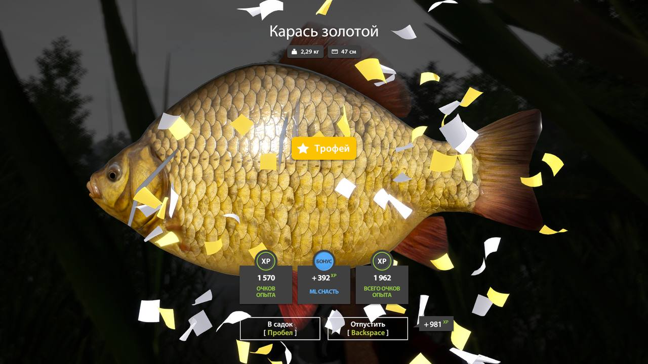 Copper Lake — Trophy