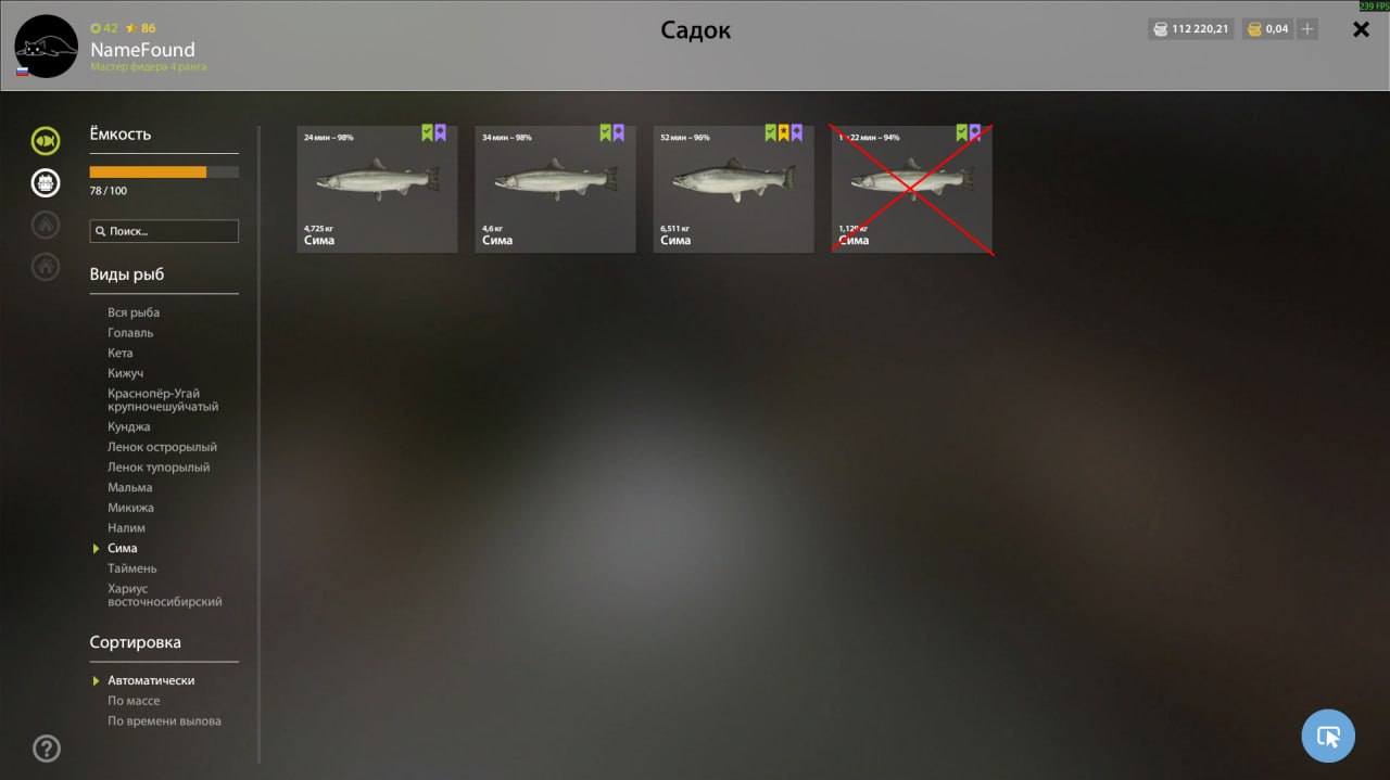 Садок — Река Яма