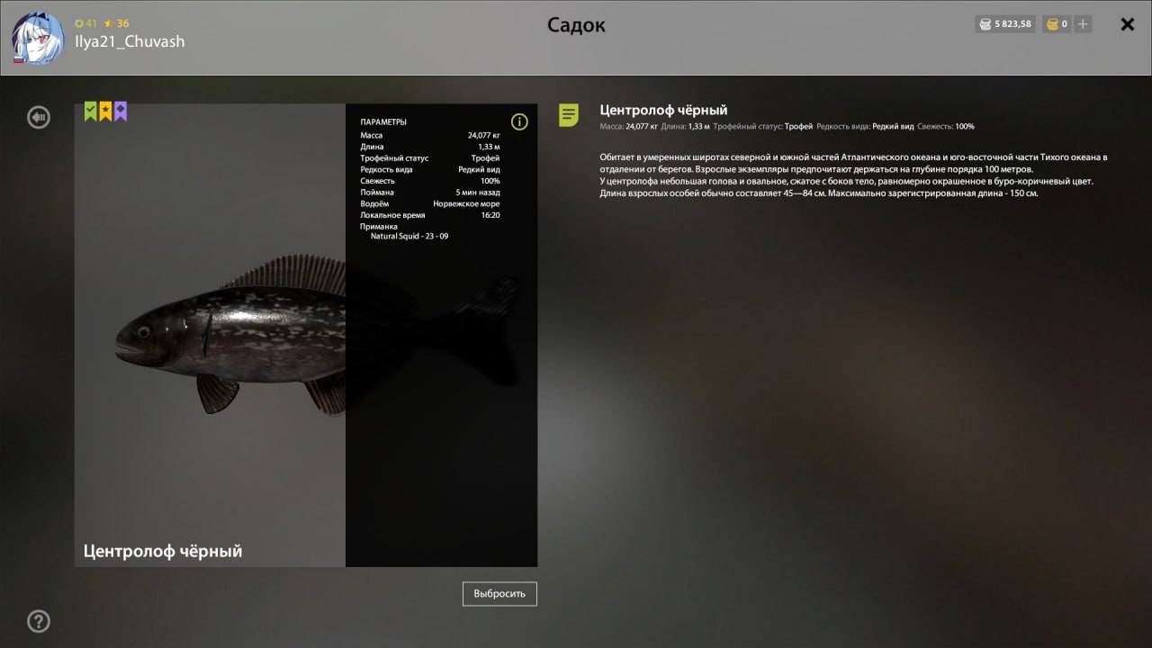 Норвежское море — Трофей