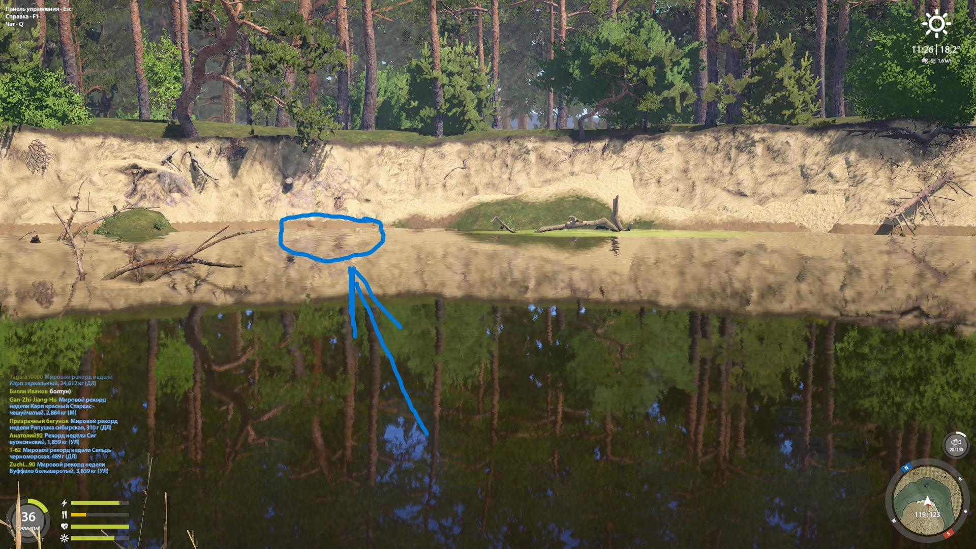 Winding Rivulet — Spot