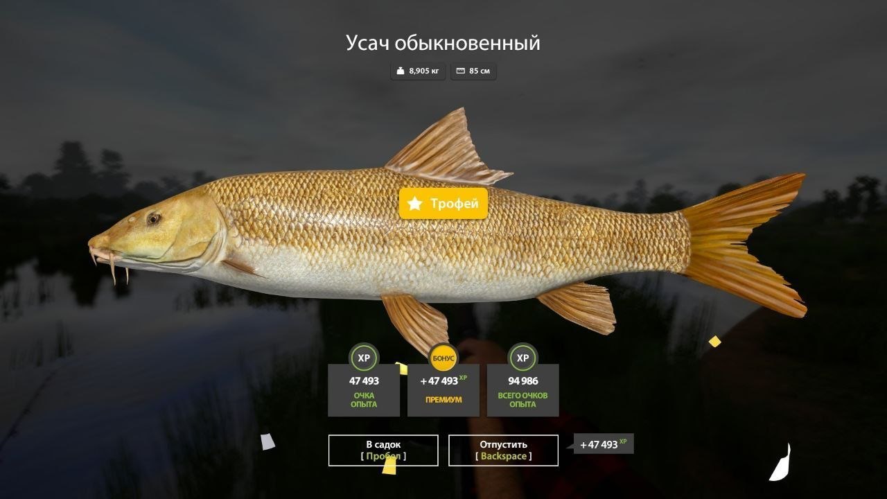 Озеро Медвежье — Трофей