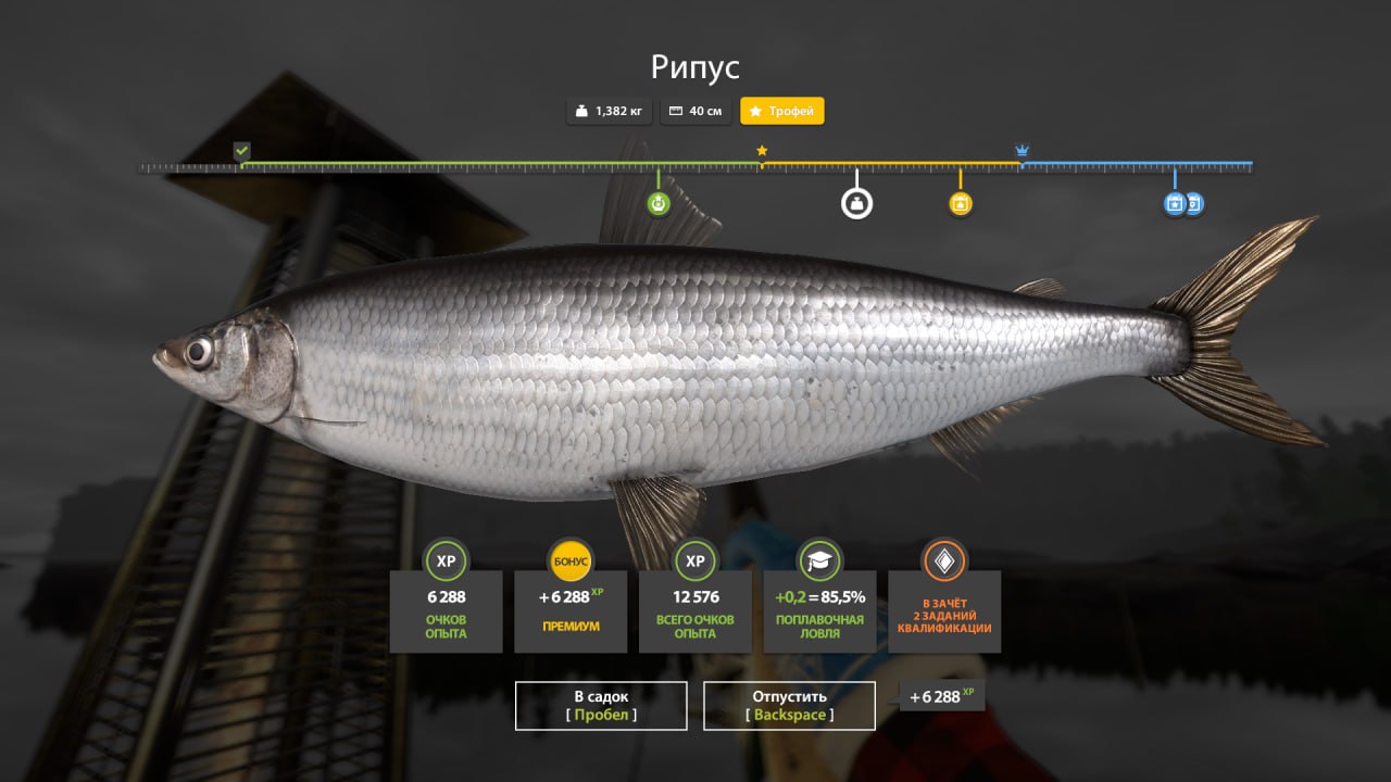 Трофей — Ладожское озеро