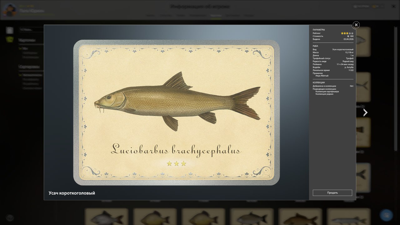 Miscellaneous — Akhtuba River