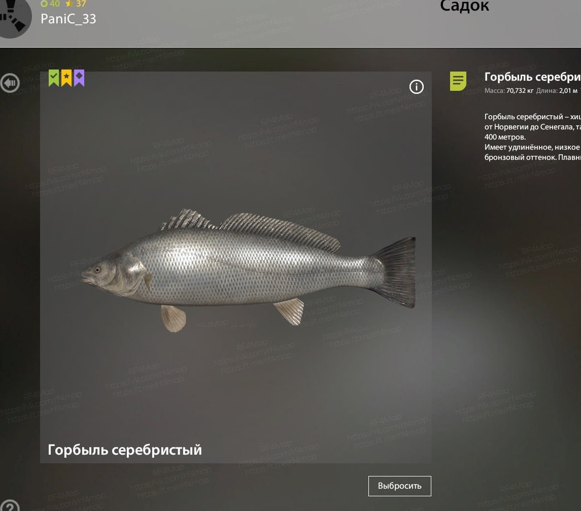 Норвежское море