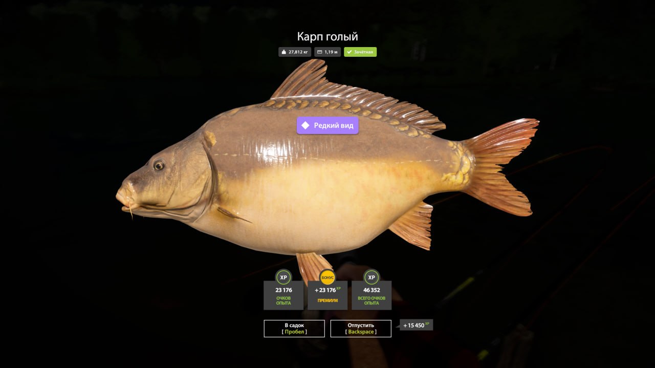 Miscellaneous — Copper Lake