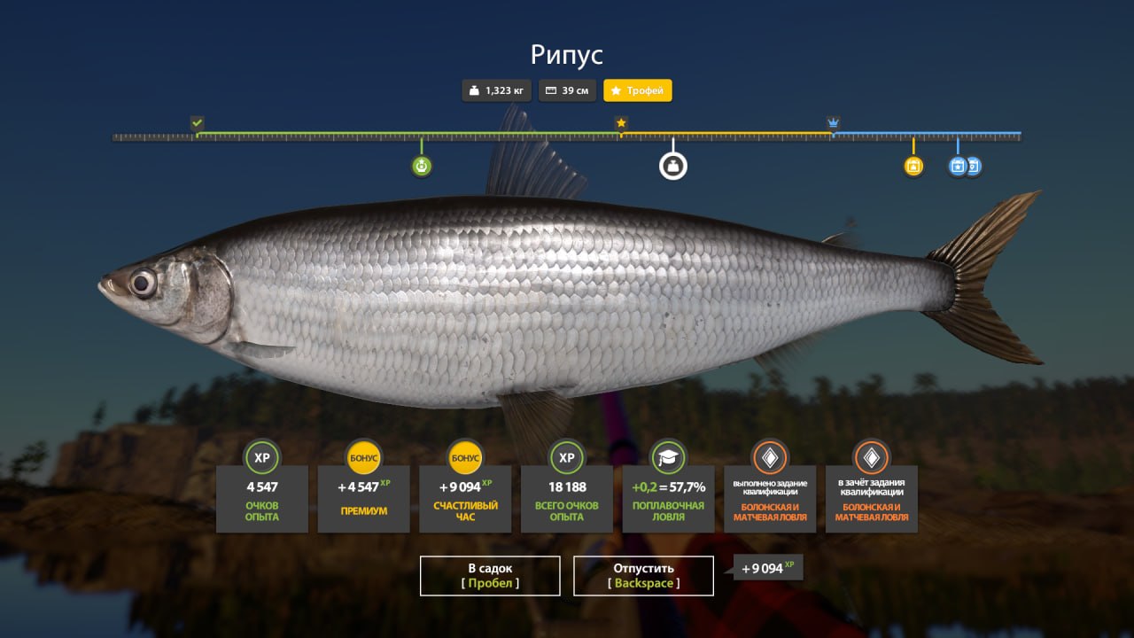 Ladoga Lake — Trophy