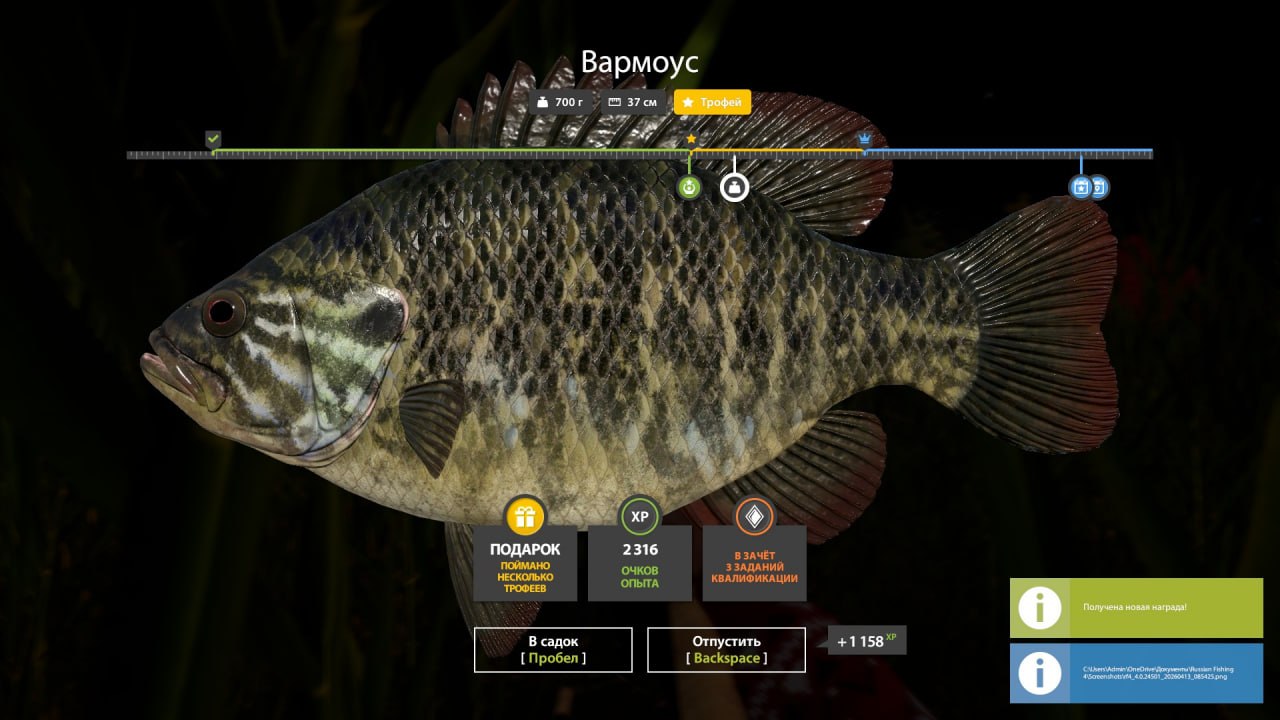 Озеро Лосиное — Трофей