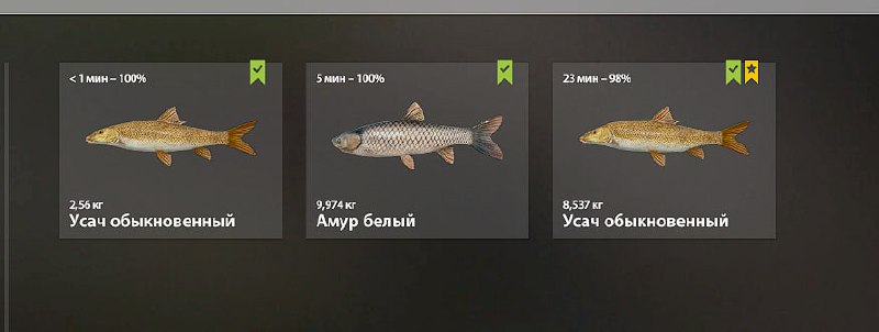 Bear Lake — Keepnet