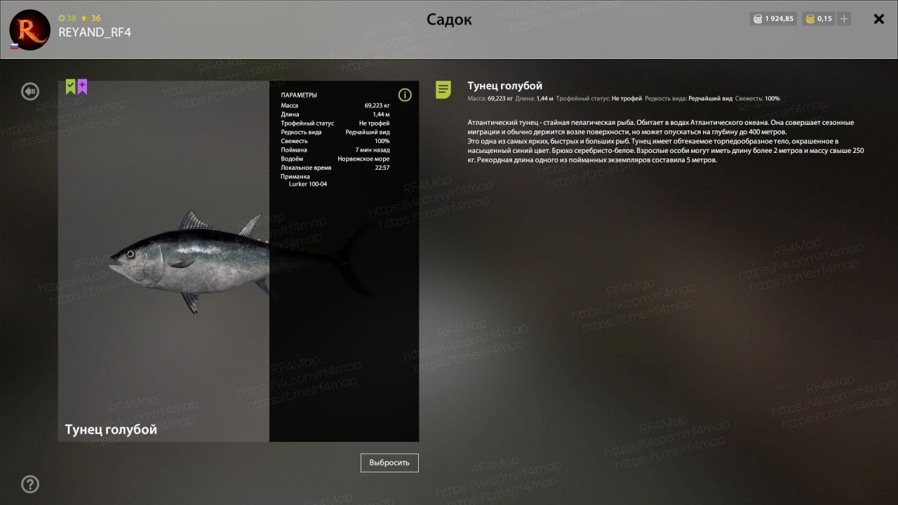 Норвежское море — Разное