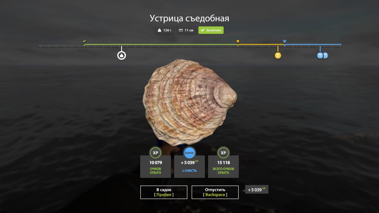 Норвежское море — Разное