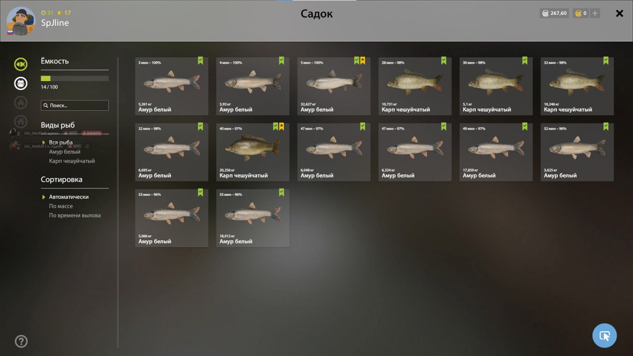 Озеро Старый Острог — Садок
