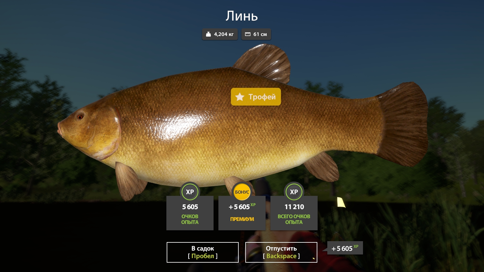 Трофей — Озеро Медное