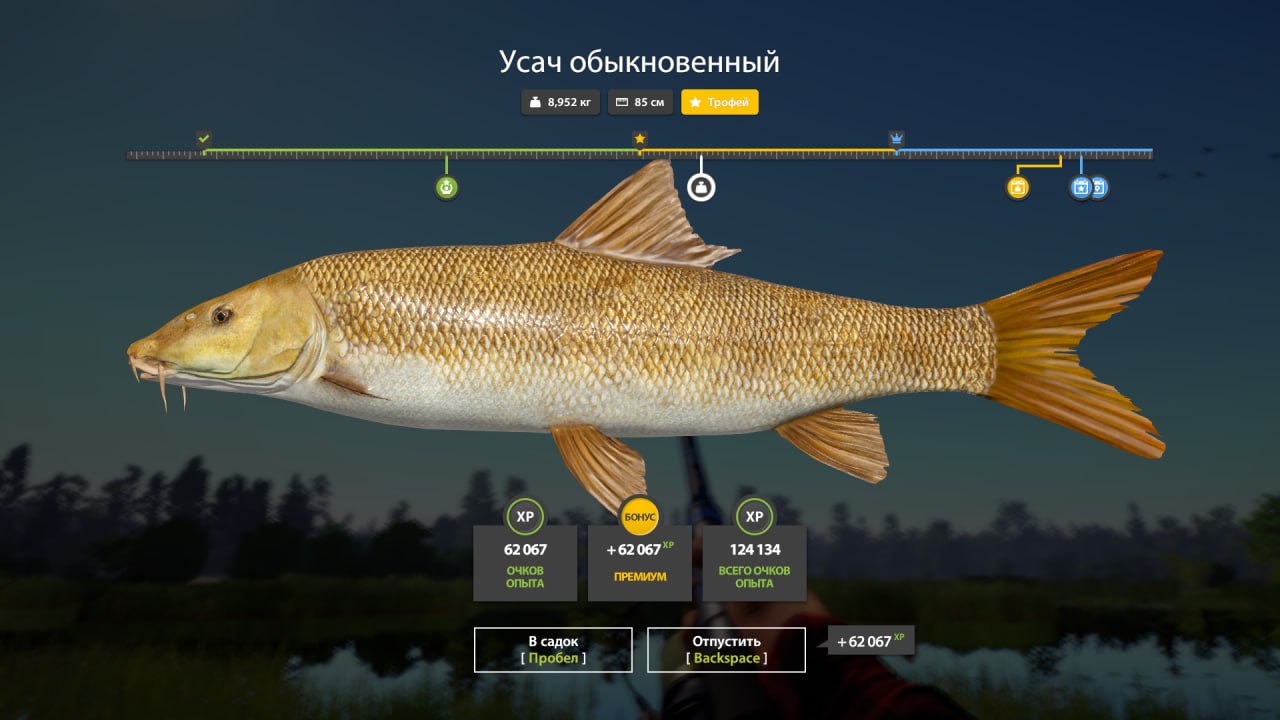 Озеро Медвежье — Трофей