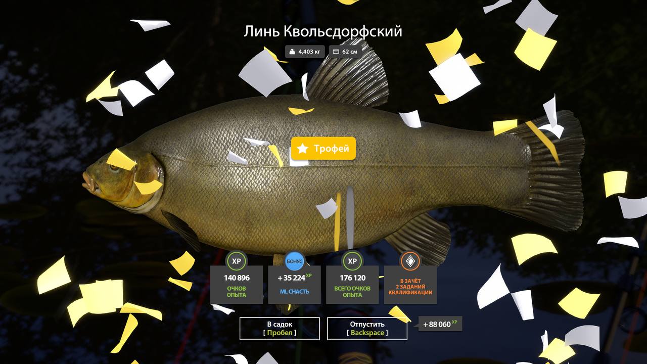 Copper Lake — Trophy