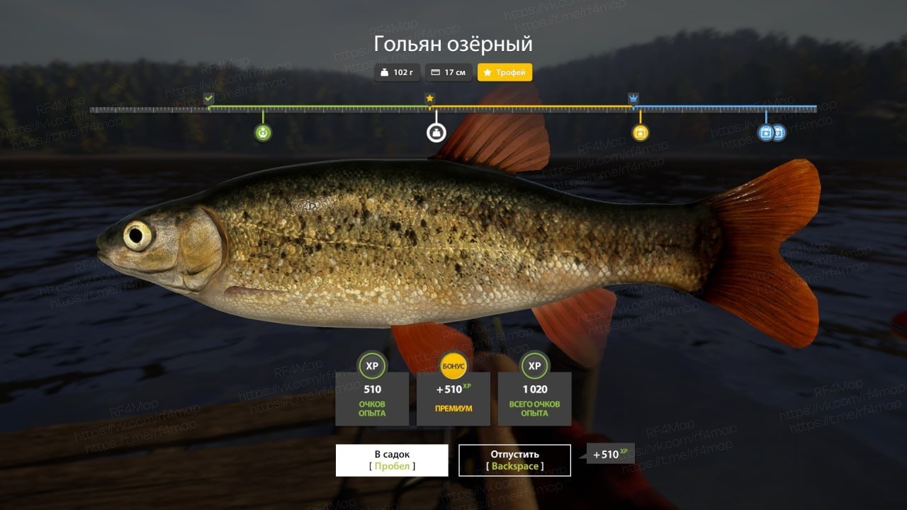 Река Нижняя Тунгуска