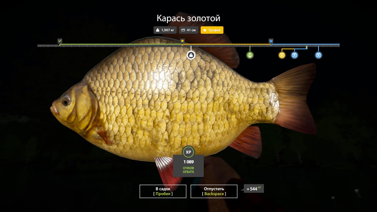 Озеро Медное — Трофей