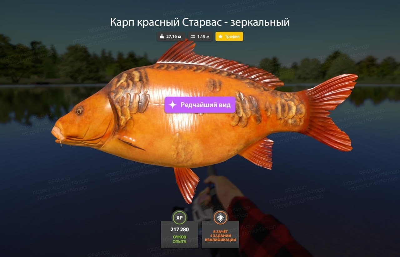The Amber Lake — Trophy