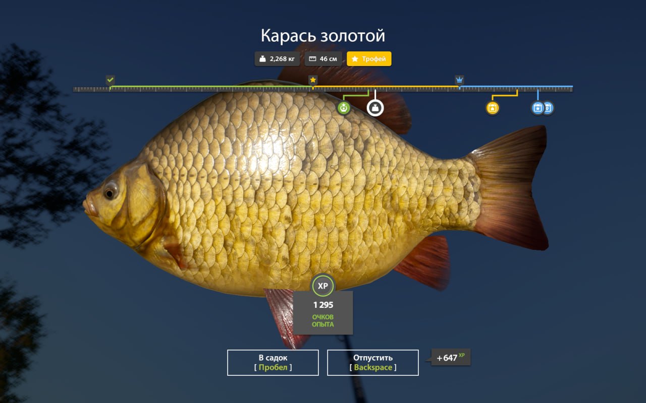 Rig (feeder) — Mosquito Lake