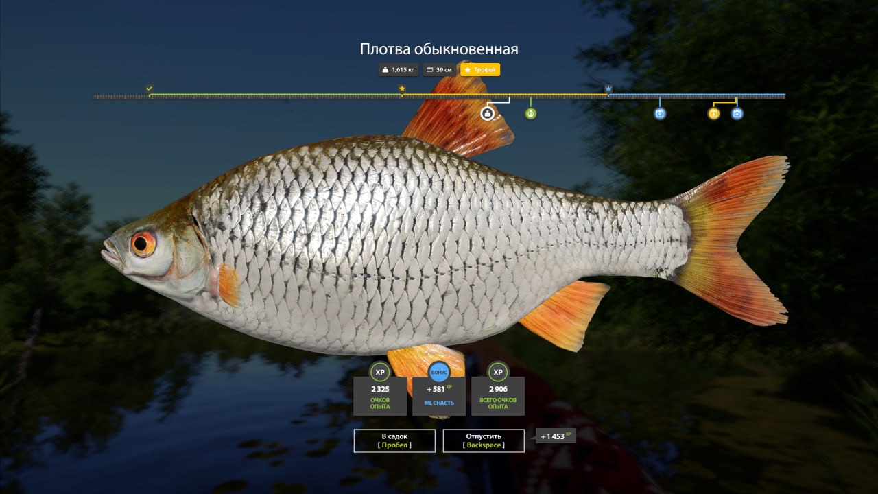 Трофей — Озеро Медное