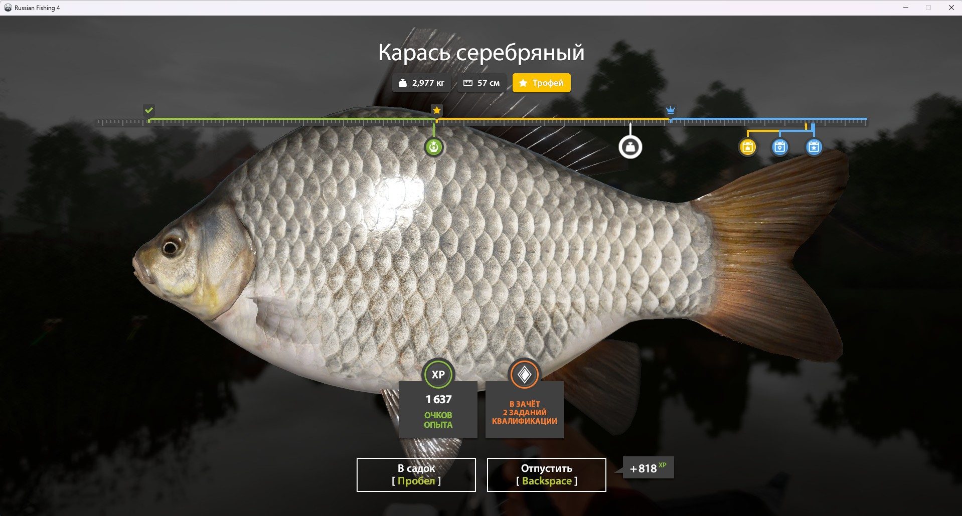 Озеро Комариное