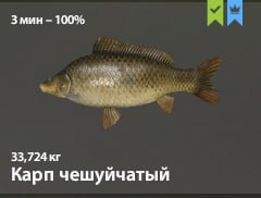 Trophy — Bear Lake