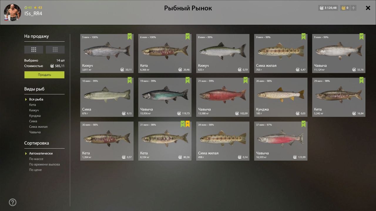 Садок — Река Яма