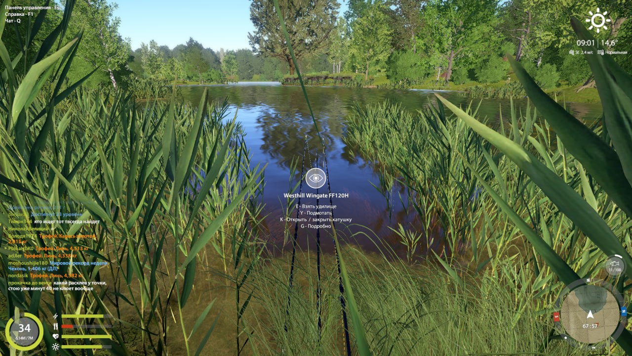 Spot — Copper Lake