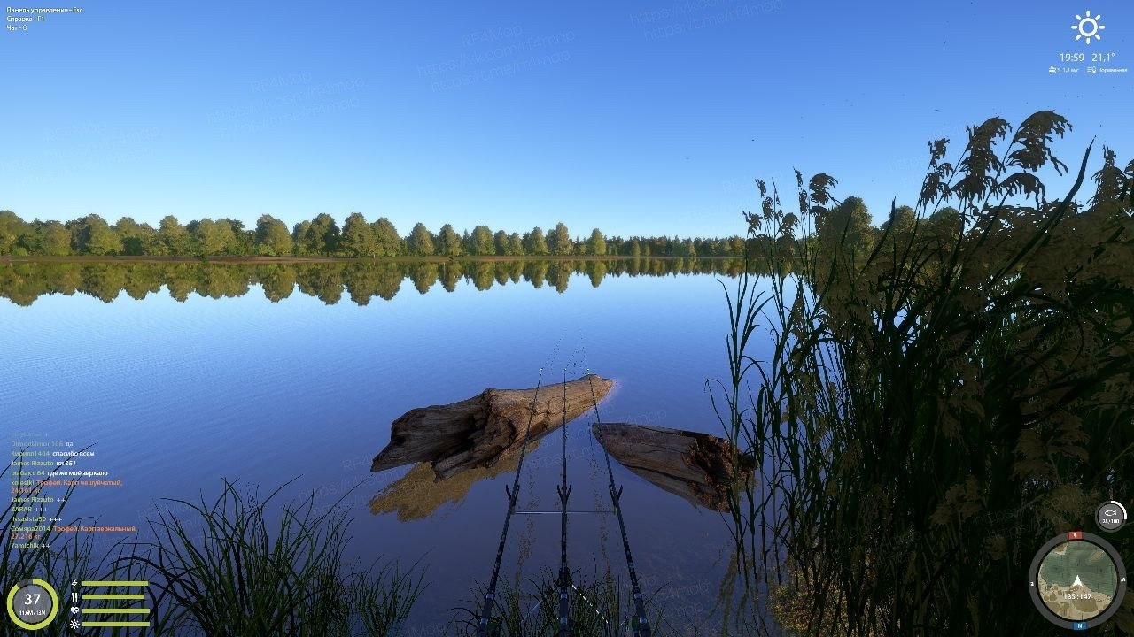 The Amber Lake