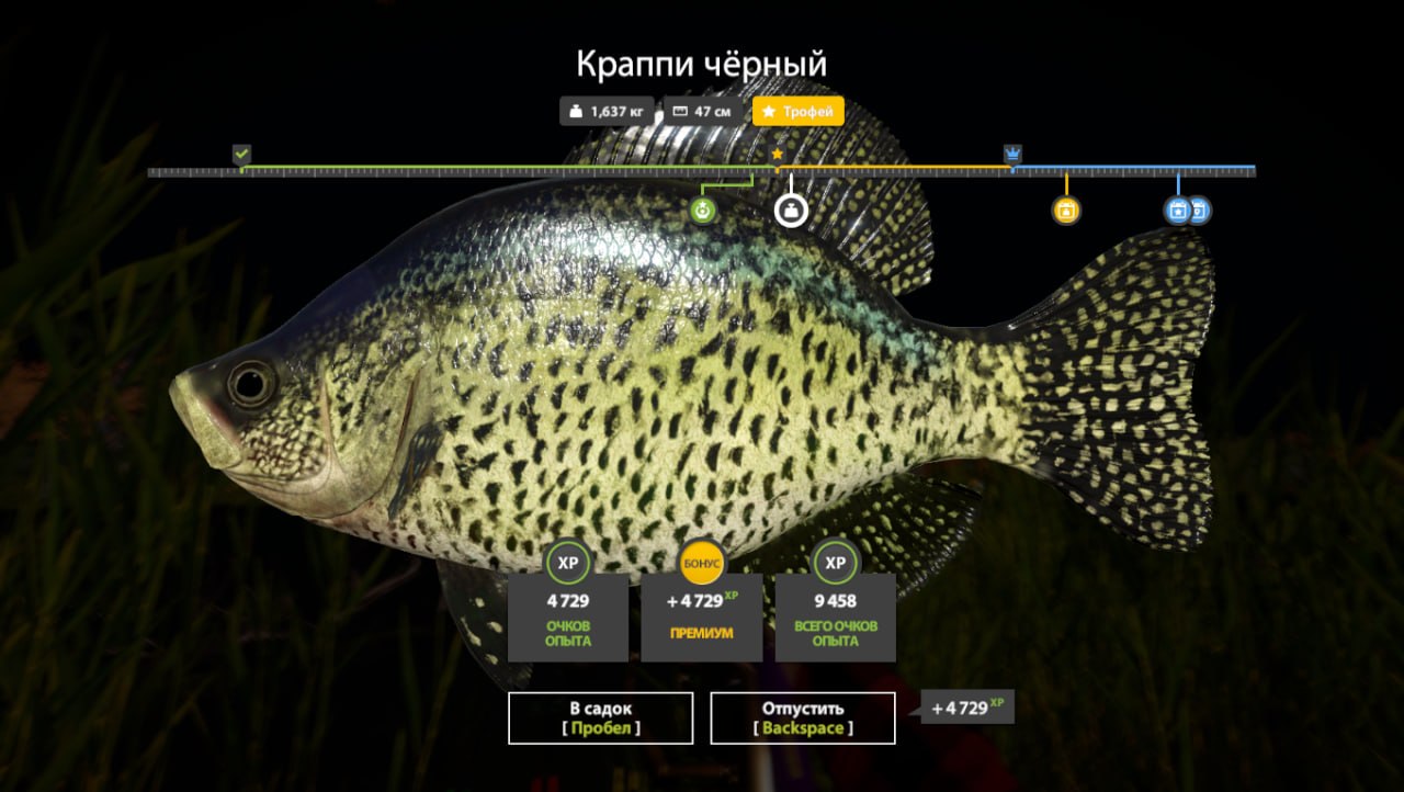 Озеро Лосиное — Трофей