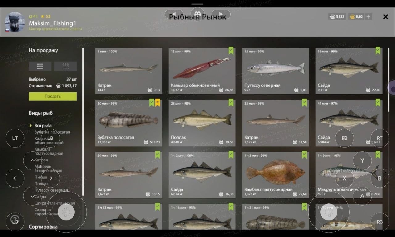 Норвежское море