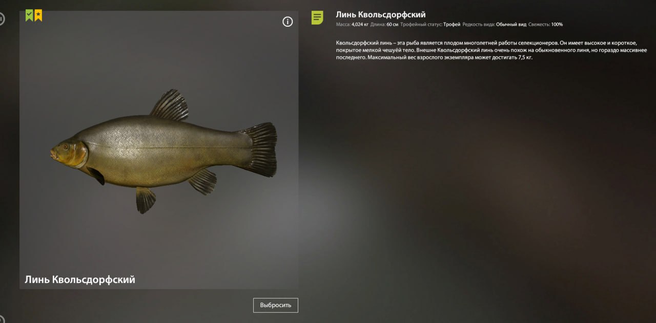 Trophy — Copper Lake